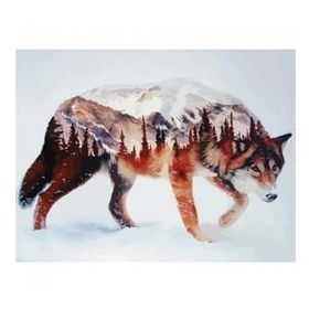 Canvas Hobby Kasnaklı 50 x 65 cm Kurt Bakışı Sayılarla Boyama Seti