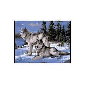 Canvas Hobby Kasnaklı 50 x 65 cm Kurt Bakışı Sayılarla Boyama Seti