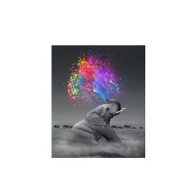 Canvas Hobby Kasnaklı 50 x 65 cm Renk Yağmuru ve Fil Sayılarla Boyama Seti