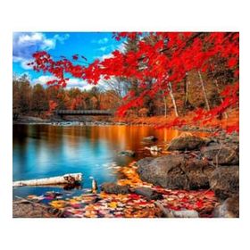 Canvas Hobby Kasnaklı 50 x 65 cm Sonbaharın Güzelliği Boyama Seti