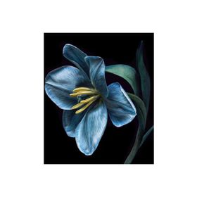 Canvas Hobby Kasnaklı 50 x 65 cm Yaşam Çiçeği 3 Sayılarla Boyama Seti