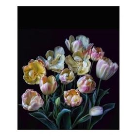 Canvas Hobby Kasnaklı 50 x 65 cm Yaşam Çiçeği Sayılarla Boyama Seti