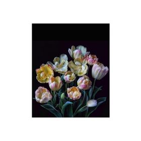 Canvas Hobby Kasnaklı 60 x 75 cm Yaşam Çiçeği Sayılarla Boyama Seti