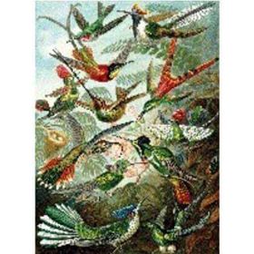 Canvas Hobby Kasnaklı 60 x 75 cm Yeşil Kuş Cenneti Sayılarla Boyama Seti