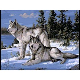 Canvas Hobby Kasnaklı 70 x 90 cm Kurt Bakışı Sayılarla Boyama Seti