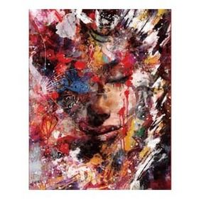 Canvas Hobby Kasnaklı 70 x 90 cm Renk Kraliçesi Sayılarla Boyama Seti