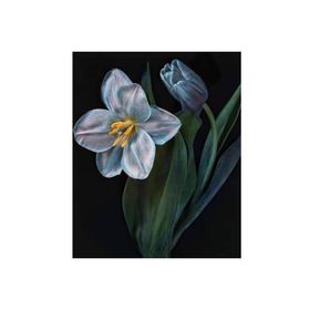 Canvas Hobby Kasnaklı 70 x 90 cm Yaşam Çiçeği 2 Sayılarla Boyama Seti