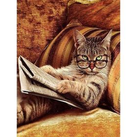Canvas Hobby Keyfekeder Kedi Kasnaklı 40x50 cm Sayılarla Boyama Seti