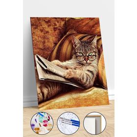 Canvas Hobby Keyfekeder Kedi Kasnaklı 40x50 cm Sayılarla Boyama Seti