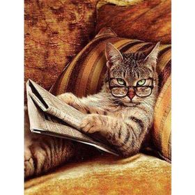 Canvas Hobby Keyfekeder Kedi Kasnaklı 40x50 cm Sayılarla Boyama Seti
