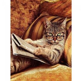 Canvas Hobby Keyfekeder Kedi Kasnaklı 60x75 cm Sayılarla Boyama Seti