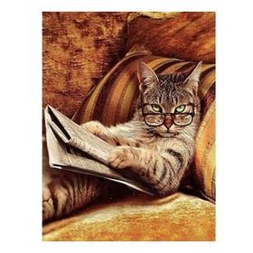 Canvas Hobby Keyfekeder Kedi Kasnaklı 60x75 cm Sayılarla Boyama Seti