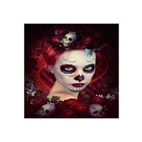 Canvas Hobby Kırmızı Kafatası Kasnaklı 60x75 cm Sayılarla Boyama Seti