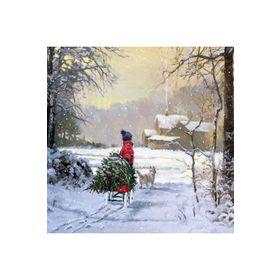 Canvas Hobby Kış Manzarası Kasnaklı 60x75 cm Sayılarla Boyama Seti