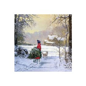 Canvas Hobby Kış Manzarası Kasnaklı 90x110 cm Sayılarla Boyama Seti