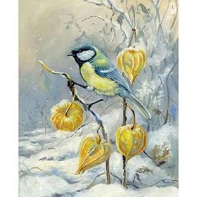 Canvas Hobby Kış ve Kuş Kasnaklı 100 x 140 cm Sayılarla Boyama Seti