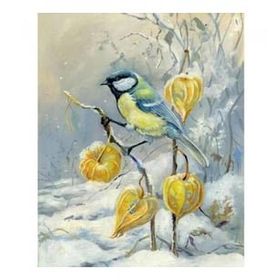 Canvas Hobby Kış ve Kuş Kasnaklı 60x75 cm Sayılarla Boyama Seti