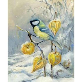 Canvas Hobby Kış ve Kuş Kasnaklı 70x90 cm Sayılarla Boyama Seti