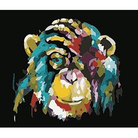 Canvas Hobby Maymun Renkli Kasnaklı 70x90 cm Sayılarla Boyama Seti