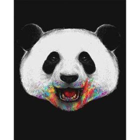 Canvas Hobby Pandam Renkli 90x110 cm Rulo Sayılarla Boyama Seti