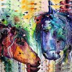 Canvas Hobby Renkli Atlar 90 x 110 cm Rulo Sayılarla Boyama Seti