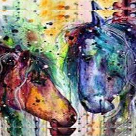 Canvas Hobby Renkli Atlar 90 x 110 cm Rulo Sayılarla Boyama Seti