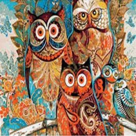 Canvas Hobby Renkli Baykuşlar 40 x 50 cm Rulo Sayılarla Boyama Seti
