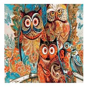 Canvas Hobby Renkli Baykuşlar 40 x 50 cm Rulo Sayılarla Boyama Seti