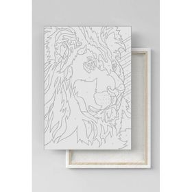 Canvas Hobby Renkli Baykuşlar 40 x 50 cm Rulo Sayılarla Boyama Seti