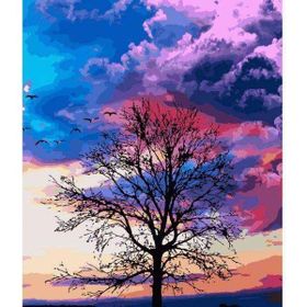 Canvas Hobby Renkli Gökyüzü 100 x 140 cm Rulo Sayılarla Boyama Seti