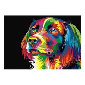 Canvas Hobby Renkli Köpek 90 x 110 cm Rulo Sayılarla Boyama Seti