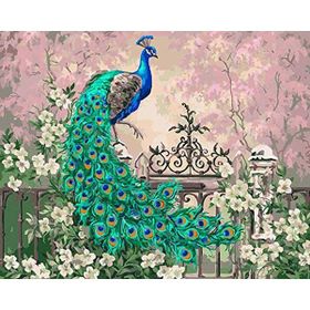 Canvas Hobby Renkli Tavuskuşu 90 x 110 cm Rulo Sayılarla Boyama Seti