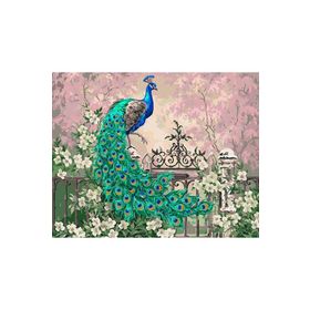 Canvas Hobby Renkli Tavuskuşu 90 x 110 cm Rulo Sayılarla Boyama Seti