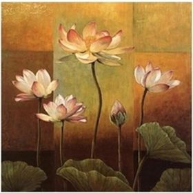 Canvas Hobby Rulo 100 x 140 cm Narin Çiçekler Sayılarla Boyama Seti