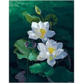 Canvas Hobby Rulo 100 x 140 cm Nilüfer Sayılarla Boyama Seti