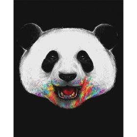 Canvas Hobby Rulo 100 x 140 cm Pandam Renkli Sayılarla Boyama Seti
