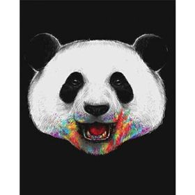Canvas Hobby Rulo 100 x 140 cm Pandam Renkli Sayılarla Boyama Seti