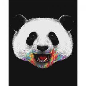 Canvas Hobby Rulo 100 x 140 cm Pandam Renkli Sayılarla Boyama Seti