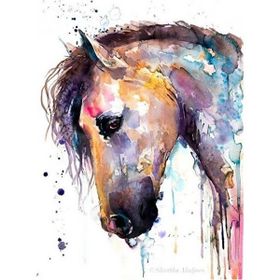 Canvas Hobby Rulo 100 x 140 cm Renkli At Renkli Sayılarla Boyama Seti