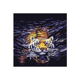 Canvas Hobby Rulo 40 x 50 cm Yüzen Kaplan Sayılarla Boyama Seti