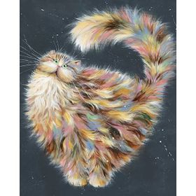 Canvas Hobby Rulo 70 x 90 cm Şaşkın Kedi Sayılarla Boyama Seti