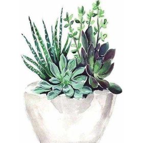 Canvas Hobby Saksıdaki Çiçekler 100 x 140 cm Rulo Sayılarla Boyama Seti