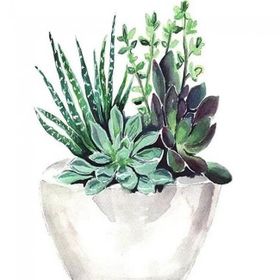 Canvas Hobby Saksıdaki Çiçekler 40 x 50 cm Rulo Sayılarla Boyama Seti