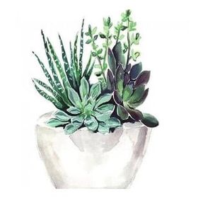 Canvas Hobby Saksıdaki Çiçekler 60 x 75 cm Rulo Sayılarla Boyama Seti