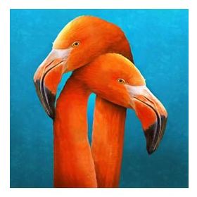 Canvas Hobby Sarılan Flamingo 70 x 90 cm Rulo Sayılarla Boyama Seti