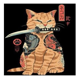 Canvas Hobby Savaşcı Kedi 50 x 65 cm Rulo Sayılarla Boyama Seti