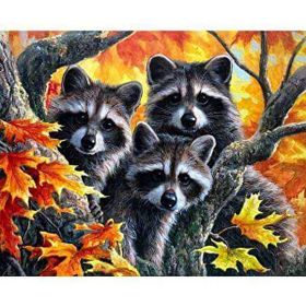 Canvas Hobby Sevimli Üçlü 70 x 90 cm Rulo Sayılarla Boyama Seti