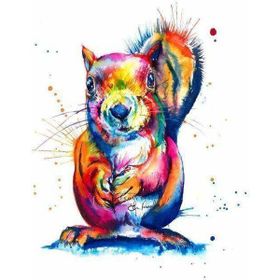 Canvas Hobby Sincap 60 x 75 cm Rulo Sayılarla Boyama Seti