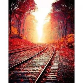 Canvas Hobby Tren Rayları 40x50 cm Rulo Sayılarla Boyama Seti