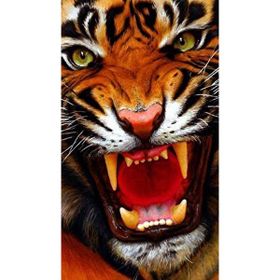 Canvas Hobby Vahşi Kaplan 2 60x75 cm Rulo Sayılarla Boyama Seti